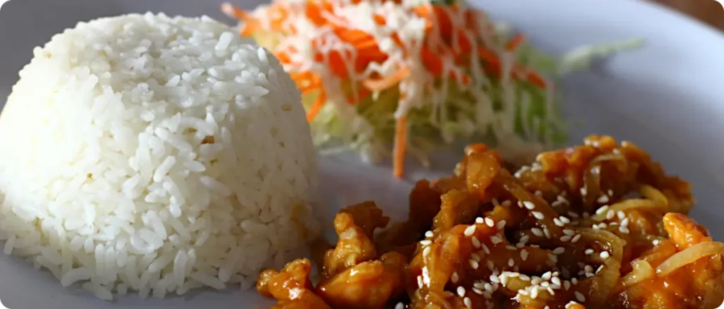 Lunch ideas for picky eaters: Chicken and Rice